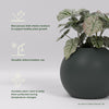 Globe Large Sphere Fiberglass Planter - 36 in x 36 in x 30 in - Matte Charcoal - Matte Charcoal,36 in x 36 in x 30 in