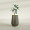 Tall Hayden Medium Round Fiberglass Planter - 12 in x 12 in x 20 in - Matte Bronze - Matte Bronze,12 in x 12 in x 20 in