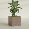Cube - 40in x 40in x 40in - StoneLight - Sunstone - StoneLight - Sunstone,40 in x 40 in x 40 in