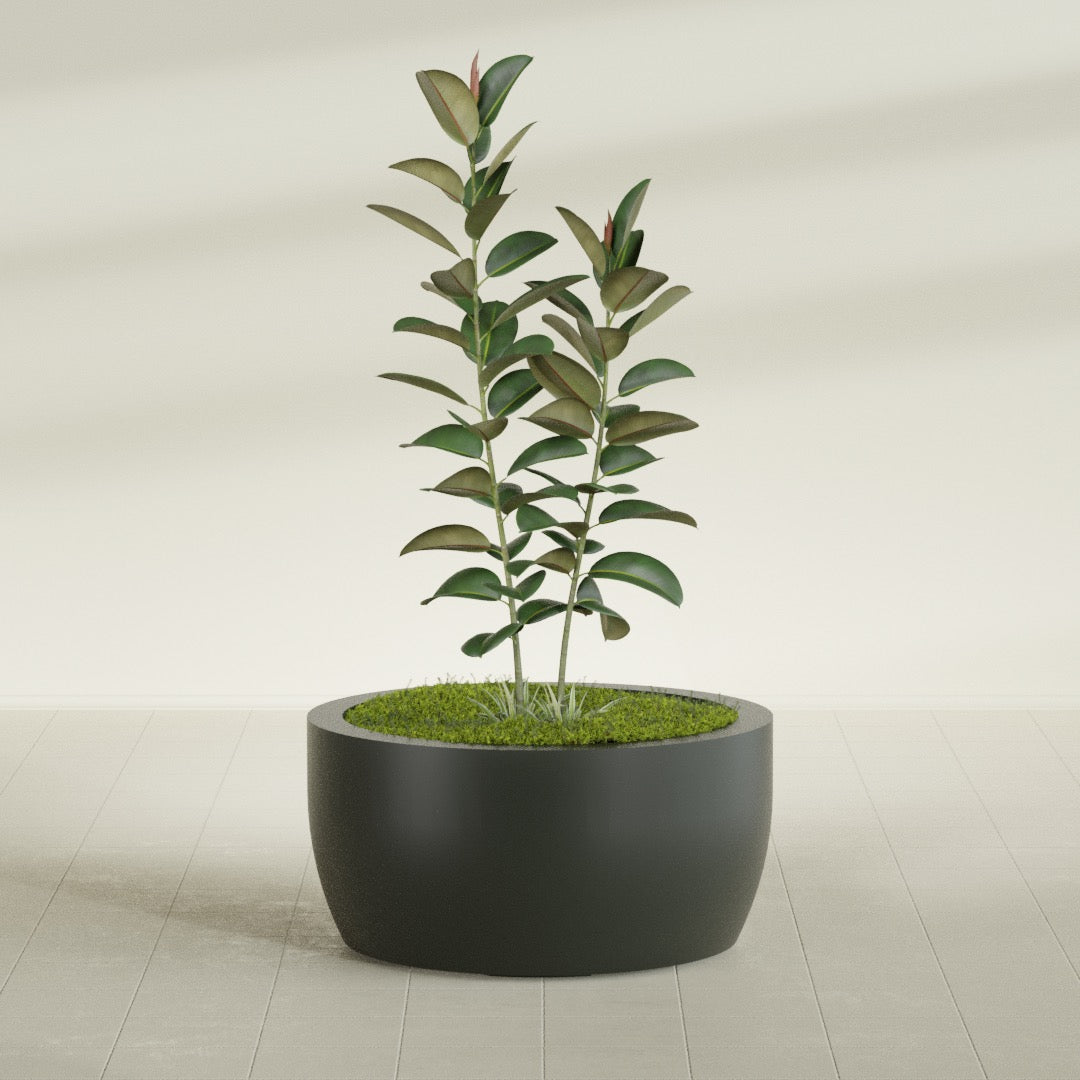 Casablanca Large Round Low Bowl Fiberglass Planter - 36 in x 36 in x 18 in - Matte Charcoal - Matte Charcoal,36 in x 36 in x 18 in