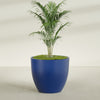 Wannsee Extra Large Round Fiberglass Planter - 50 in x 50 in x 44 in - Matte Cobalt Blue - Matte Cobalt Blue,50 in x 50 in x 44 in
