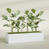 Torino Extra Large Wide Rectangle Fiberglass Planter - 72 in x 24 in x 18 in - Gloss White - Gloss White,72 in x 24 in x 18 in