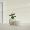Fishbowl Small Round Fiberglass Planter - 16 in x 16 in x 14 in - Satin Beige - Satin Beige,16 in x 16 in x 14 in