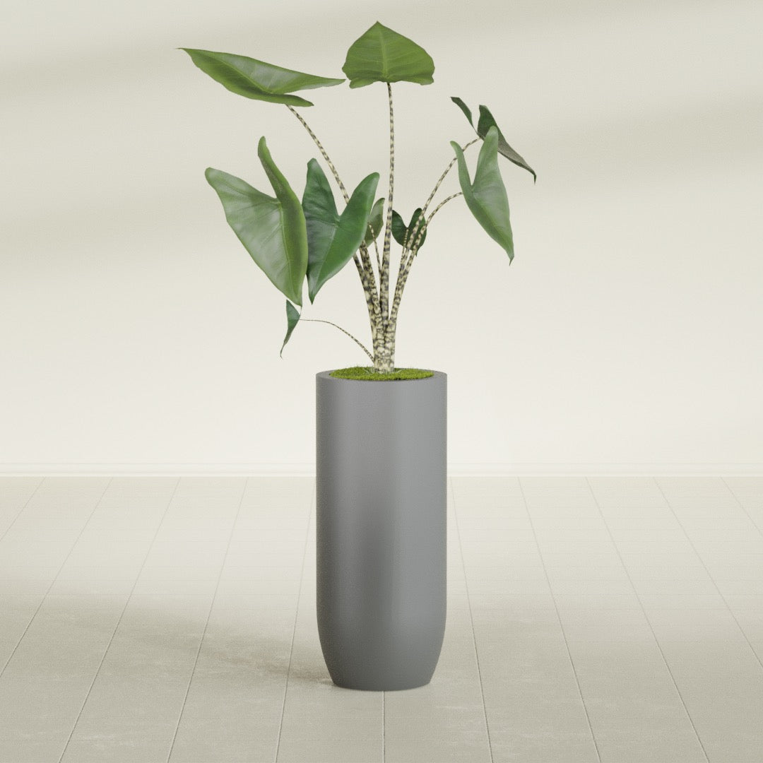 Saint Tropez Large Tall Round Fiberglass Planter - 16 in x 16 in x 38 in - Metallic Gunmetal - Metallic Gunmetal,16 in x 16 in x 38 in