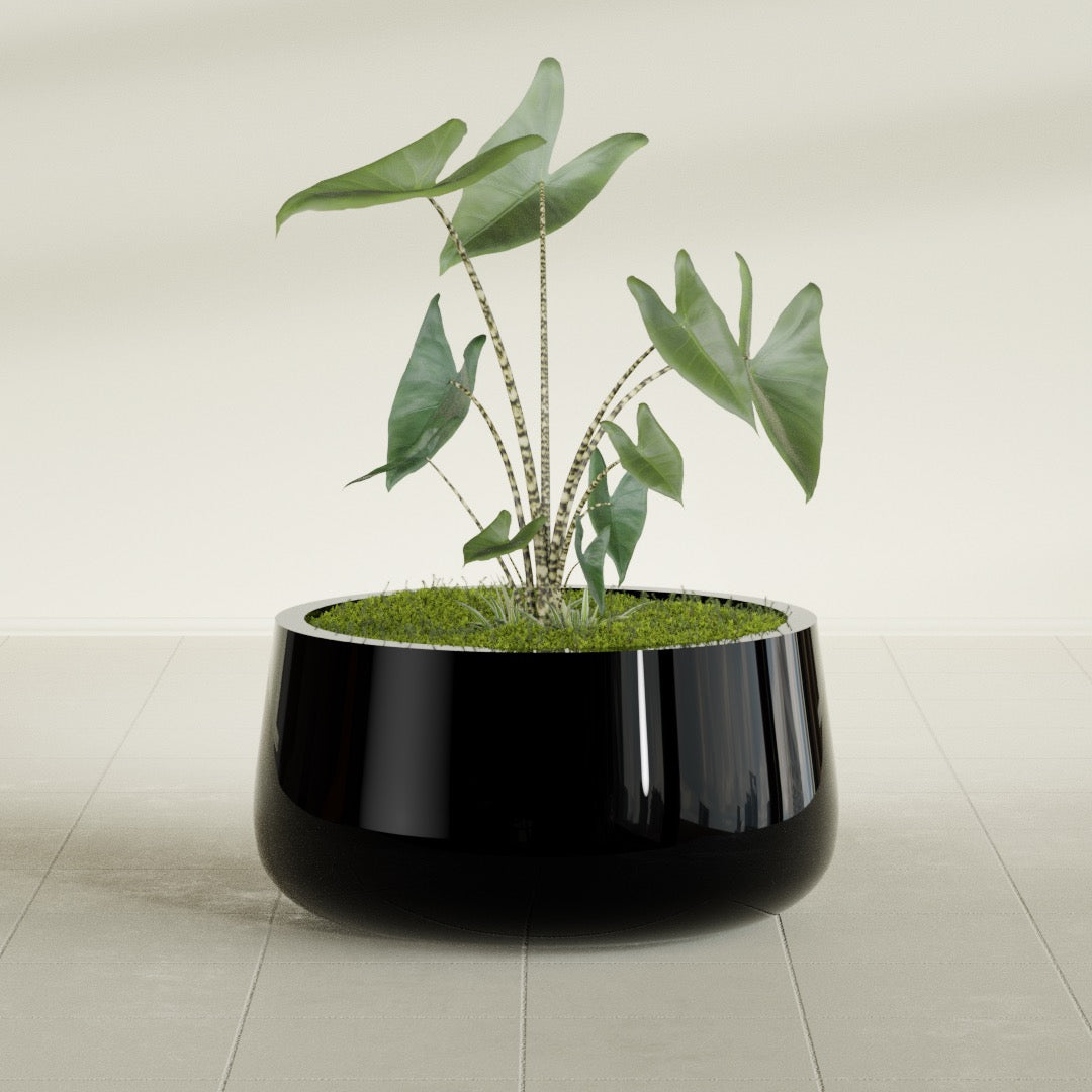 Short Hayden Medium Round Fiberglass Planter - 20 in x 20 in x 10 in - Gloss Black - Gloss Black,20 in x 20 in x 10 in