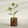 Rio Grande Medium Round Fiberglass Planter - 18 in x 18 in x 20 in - Metallic Bronze - Metallic Bronze,18 in x 18 in x 20 in