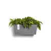 Manhattan Small Rectangle Wall Planter - 13.75 in x 6.75 in x 6 in - Grey - Grey,13.75 in x 6.75 in x 6 in
