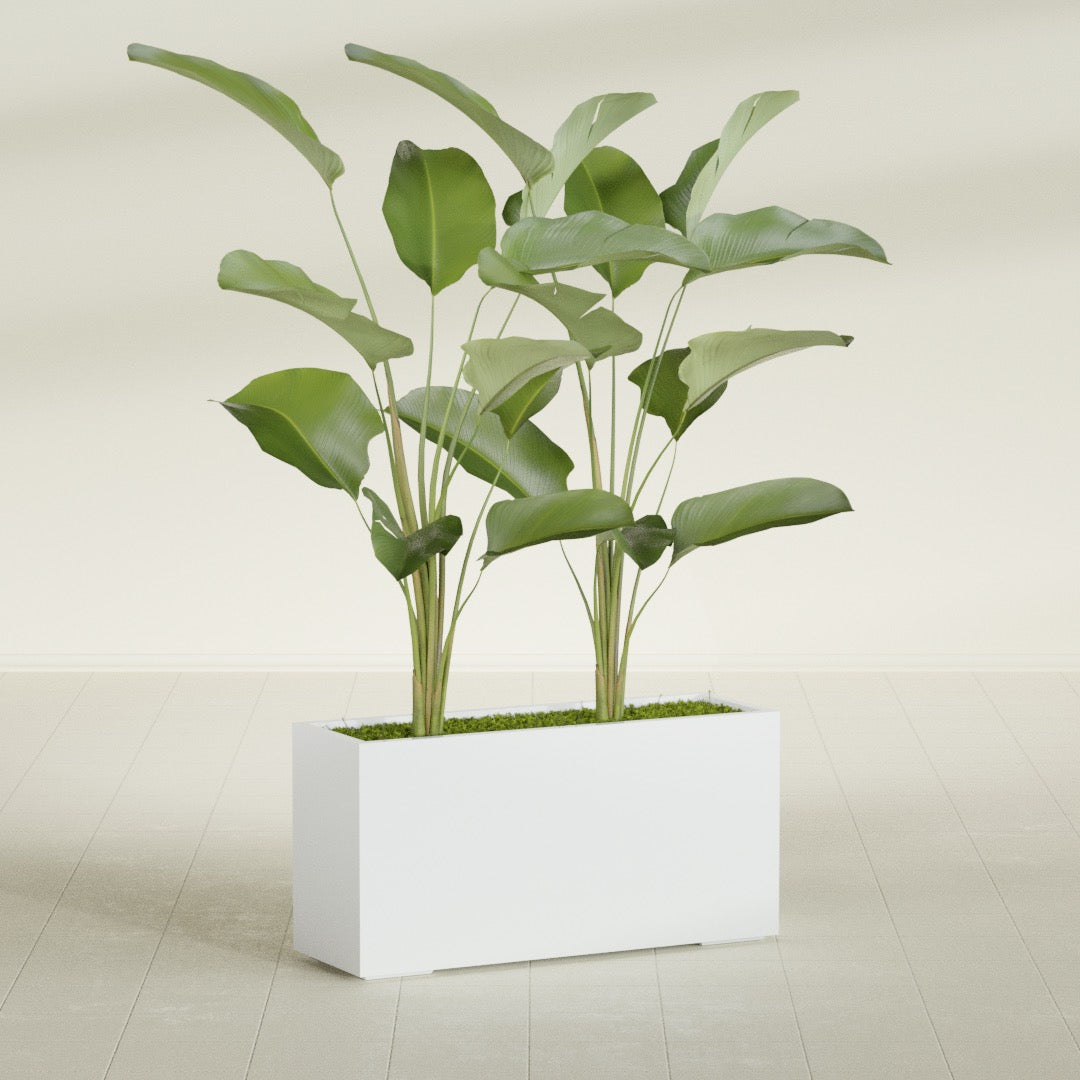 Tolga Extra Large Long Rectangle Fiberglass Planter - 48 in x 16 in x 24 in - Matte White - Matte White,48 in x 16 in x 24 in