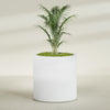 Rio Grande Large Round Fiberglass Planter - 30 in x 30 in x 32 in - Gloss White - Gloss White,30 in x 30 in x 32 in