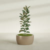 Casablanca Large Round Low Bowl Fiberglass Planter - 30 in x 30 in x 15 in - Metallic Gold - Metallic Gold,30 in x 30 in x 15 in