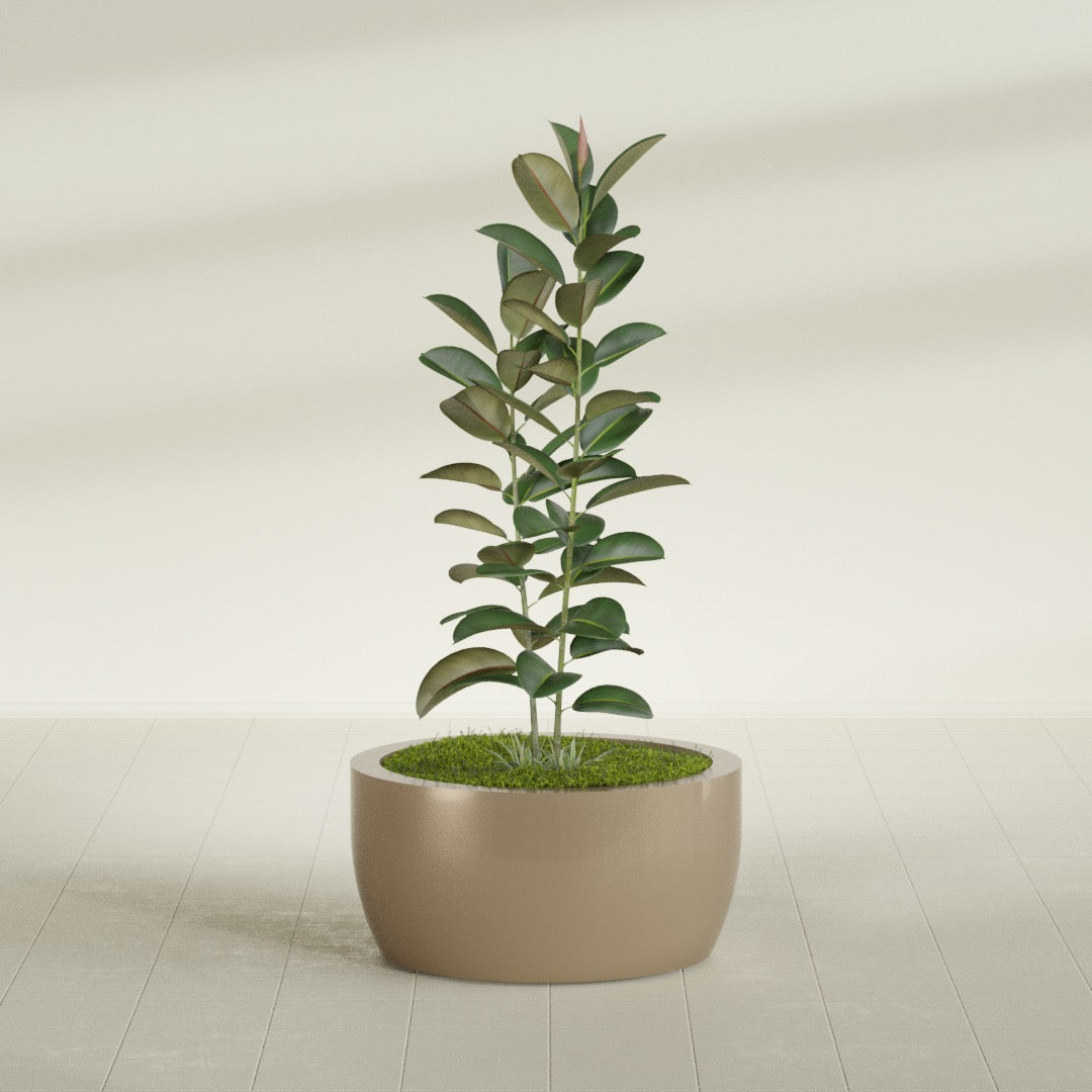Casablanca Large Round Low Bowl Fiberglass Planter - 30 in x 30 in x 15 in - Metallic Gold - Metallic Gold,30 in x 30 in x 15 in