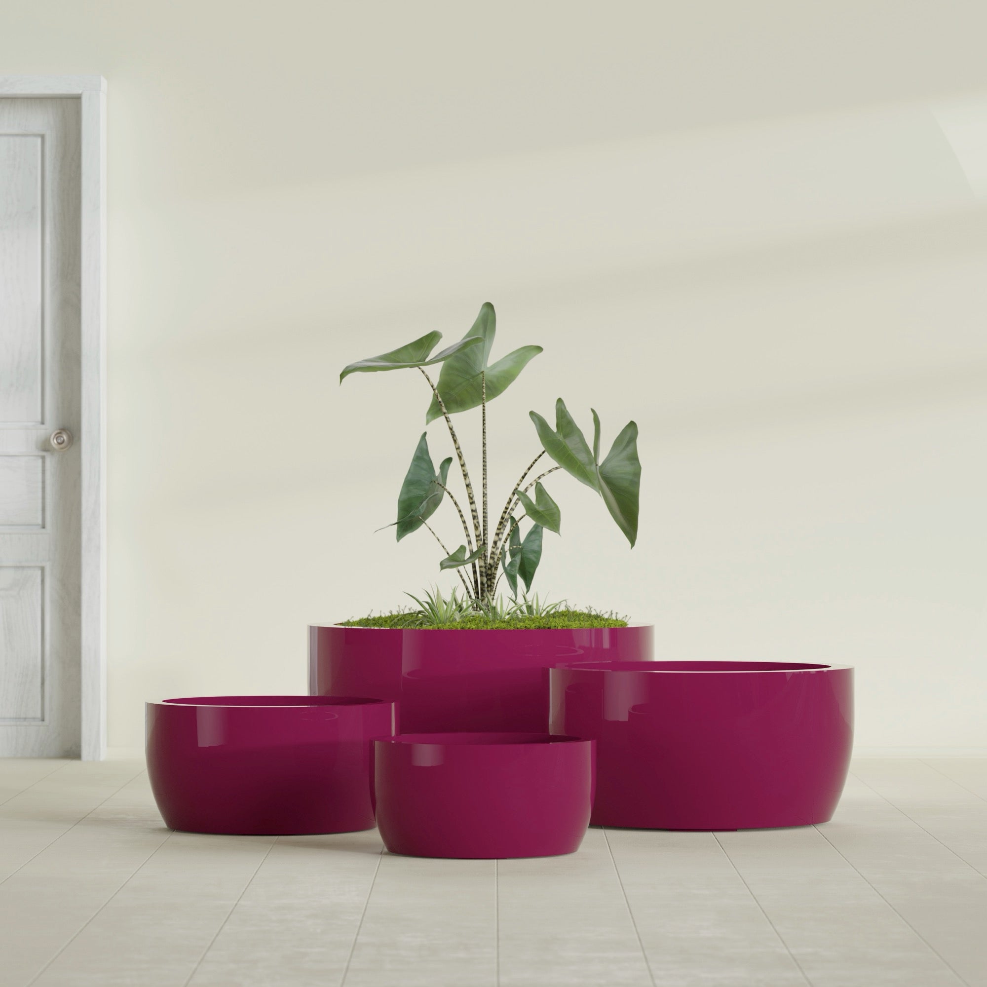 Casablanca Large Round Low Bowl Fiberglass Planter - 30 in x 30 in x 15 in - Gloss Eggplant - Gloss Eggplant,30 in x 30 in x 15 in
