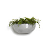 Sofia Wall Small Conical Wall Planter - 16.5 in x 10 in x 7 in - White Grey - White Grey,16.5 in x 16.5 in x 7 in