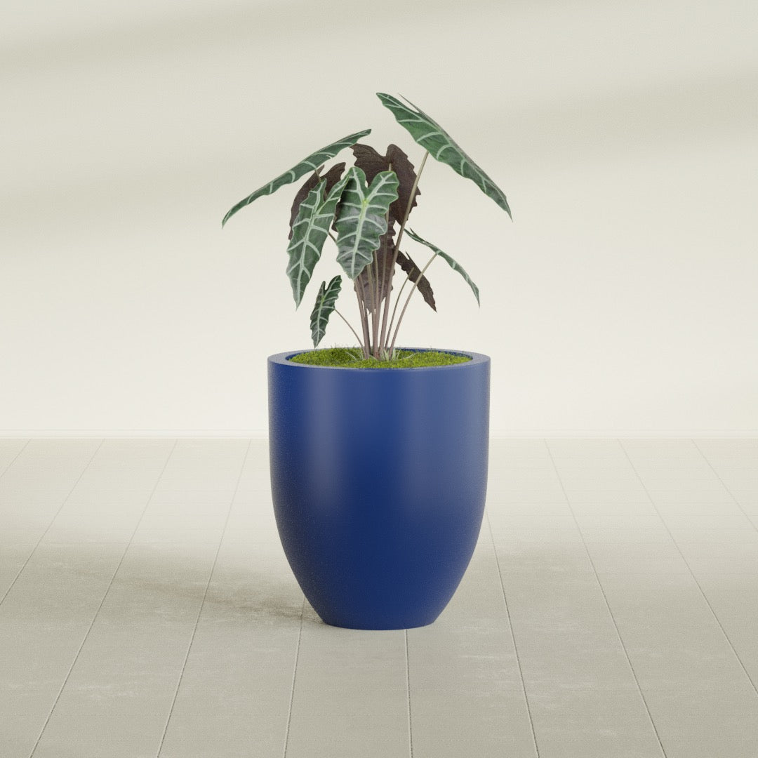 Valencia Medium Round Fiberglass Planter - 20 in x 20 in x 23 in - Matte Cobalt Blue - Matte Cobalt Blue,20 in x 20 in x 23 in