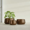 Short Hayden Small Round Fiberglass Planter - 12 in x 12 in x 7 in - Metallic Bronze - Metallic Bronze,12 in x 12 in x 7 in