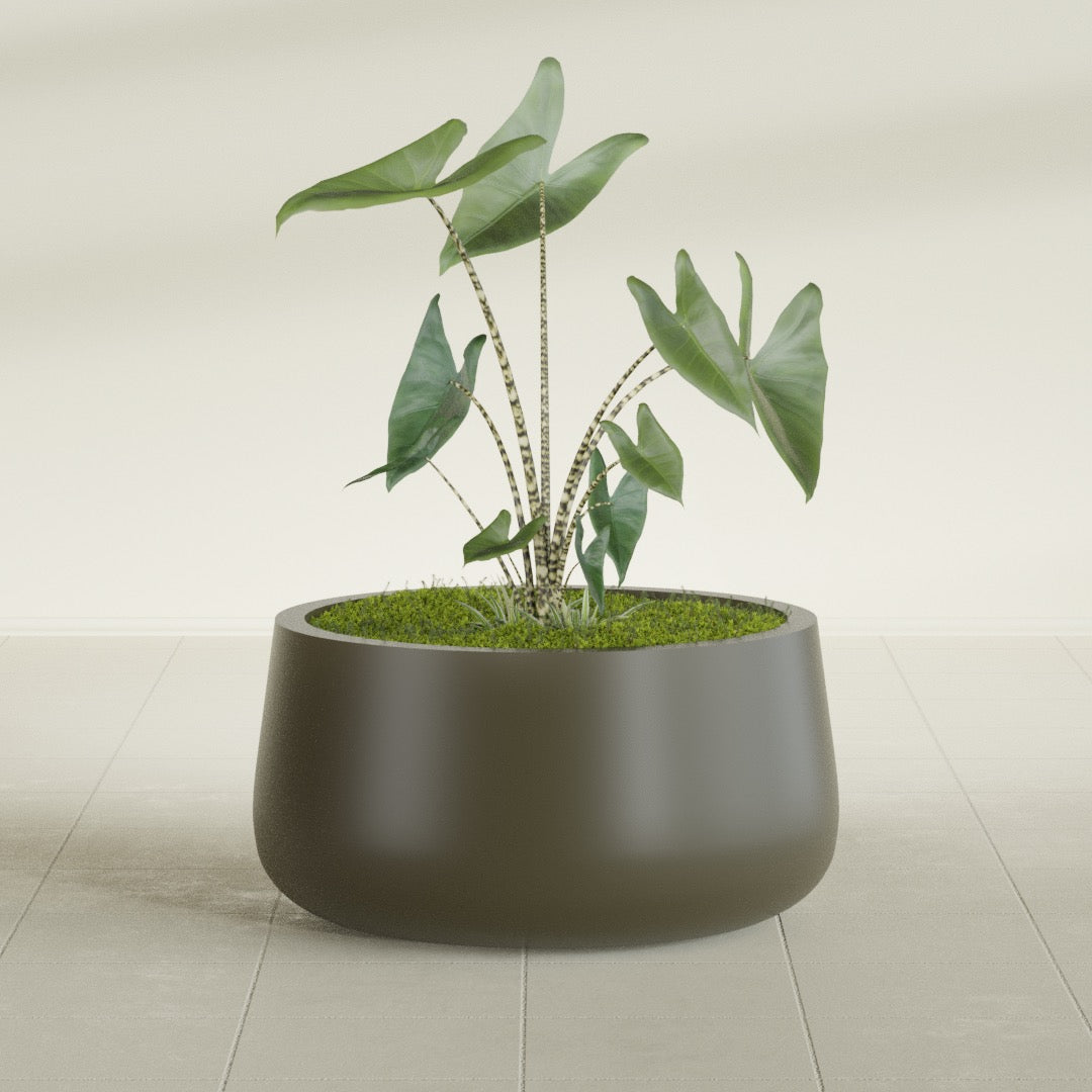 Short Hayden Medium Round Fiberglass Planter - 20 in x 20 in x 10 in - Matte Bronze - Matte Bronze,20 in x 20 in x 10 in