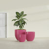 Alzira Large Round Fiberglass Planter - 30 in x 30 in x 28 in - Gloss Pink Violet - Gloss Pink Violet,30 in x 30 in x 28 in