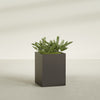 Brisbane Large Rectangle Fiberglass Planter - 24 in x 24 in x 32 in - Matte Brown - Matte Brown,24 in x 24 in x 32 in