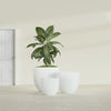 Alzira Large Round Fiberglass Planter - 36 in x 36 in x 34 in - Gloss White - Gloss White,36 in x 36 in x 34 in