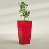 Toulan Extra Large Tall Tapered Square Fiberglass Planter - 28 in x 28 in x 60 in - Gloss Red - Gloss Red,28 in x 28 in x 60 in