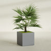 Montroy Large Cube Square Fiberglass Planter - 32 in x 32 in x 32 in - Metallic Gunmetal - Metallic Gunmetal,32 in x 32 in x 32 in