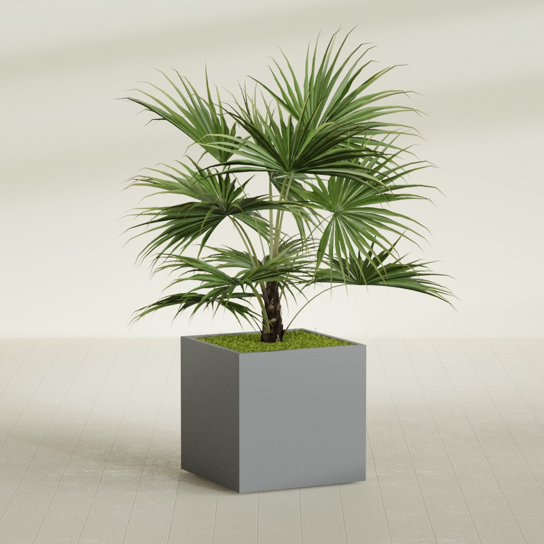 Montroy Large Cube Square Fiberglass Planter - 32 in x 32 in x 32 in - Metallic Gunmetal - Metallic Gunmetal,32 in x 32 in x 32 in