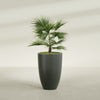 Brannan Large Round Fiberglass Planter - 24 in x 24 in x 35 in - Matte Charcoal - Matte Charcoal,24 in x 24 in x 35 in