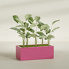 Torino Extra Large Wide Rectangle Fiberglass Planter - 48 in x 24 in x 18 in - Gloss Pink Violet - Gloss Pink Violet,48 in x 24 in x 18 in