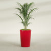 Tegel Medium Round Fiberglass Planter - 18 in x 18 in x 26 in - Gloss Red - Gloss Red,18 in x 18 in x 26 in