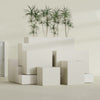 Brisbane Large Rectangle Fiberglass Planter - 24 in x 24 in x 32 in - Satin Beige - Satin Beige,24 in x 24 in x 32 in