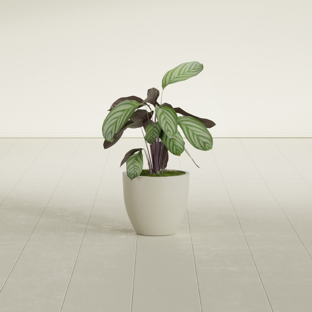 Wannsee Small Round Fiberglass Planter - 15 in x 15 in x 13 in - Satin Beige - Satin Beige,15 in x 15 in x 13 in