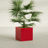 Montroy Medium Cube Square Fiberglass Planter - 28 in x 28 in x 28 in - Gloss Red - Gloss Red,28 in x 28 in x 28 in