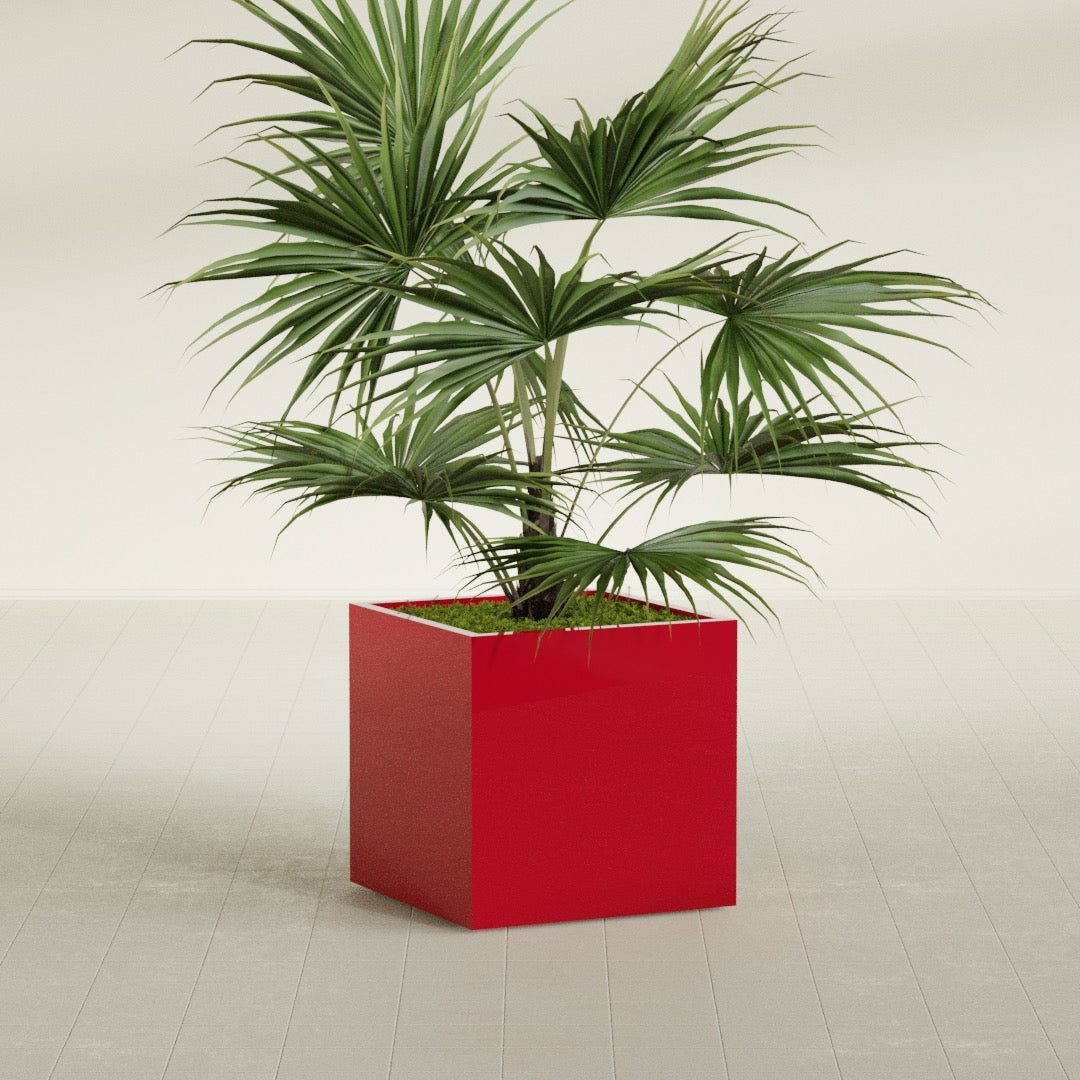 Montroy Medium Cube Square Fiberglass Planter - 28 in x 28 in x 28 in - Gloss Red - Gloss Red,28 in x 28 in x 28 in