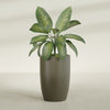 Lisbon Large Round Fiberglass Planter - 24 in x 24 in x 36 in - Matte Bronze - Matte Bronze,24 in x 24 in x 36 in