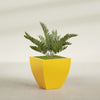 Lima Medium Tapered Square Fiberglass Planter - 24 in x 24 in x 24 in - Gloss Saffron - Gloss Saffron,24 in x 24 in x 24 in