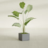 Cuba Small Fiberglass Column Planter - 14 in x 14 in x 12 in - Metallic Gunmetal - Metallic Gunmetal,14 in x 14 in x 12 in