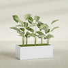 Torino Extra Large Wide Rectangle Fiberglass Planter - 48 in x 24 in x 18 in - Gloss White - Gloss White,48 in x 24 in x 18 in