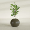 Globe Medium Sphere Fiberglass Planter - 24 in x 24 in x 19 in - Matte Bronze - Matte Bronze,24 in x 24 in x 20 in