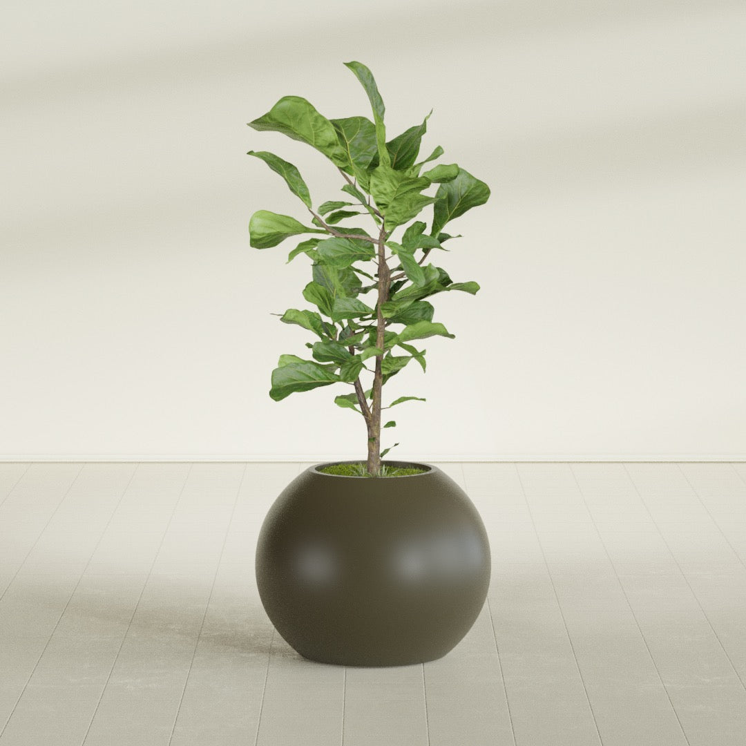 Globe Medium Sphere Fiberglass Planter - 24 in x 24 in x 19 in - Matte Bronze - Matte Bronze,24 in x 24 in x 20 in