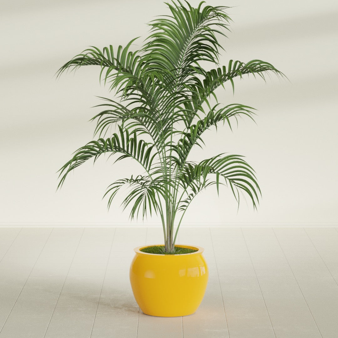 Fishbowl Small Round Fiberglass Planter - 16 in x 16 in x 14 in - Gloss Saffron - Gloss Saffron,16 in x 16 in x 14 in