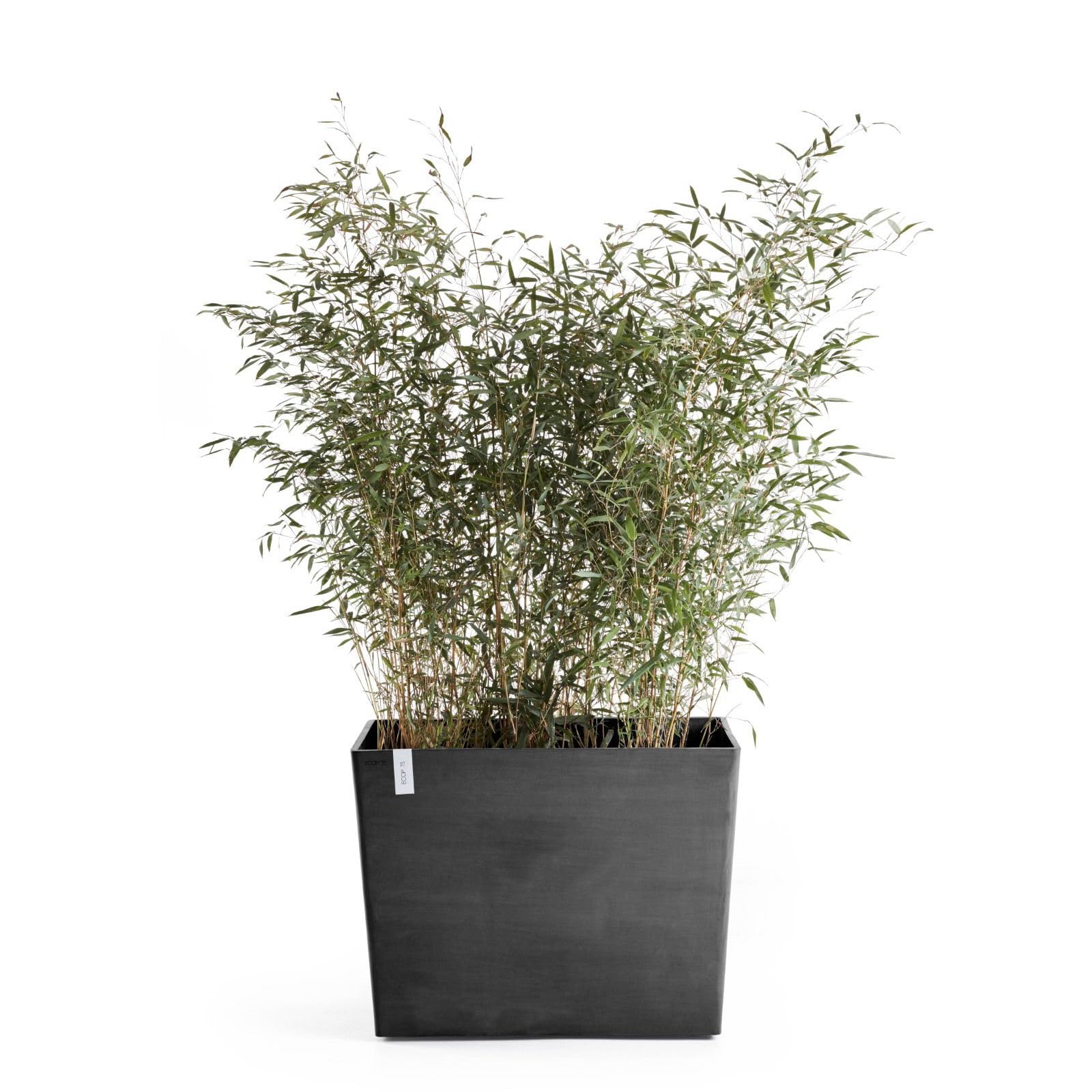 Paris with Wheels Large Rectangle Planter - 33.5 in x 15.5 in x 26 in - Dark Grey - Dark Grey,33.5 in x 15.5 in x 26 in