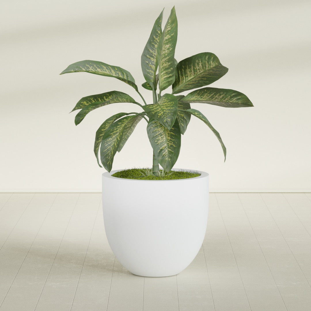 Alzira Large Round Fiberglass Planter - 30 in x 30 in x 28 in - Gloss White - Gloss White,30 in x 30 in x 28 in