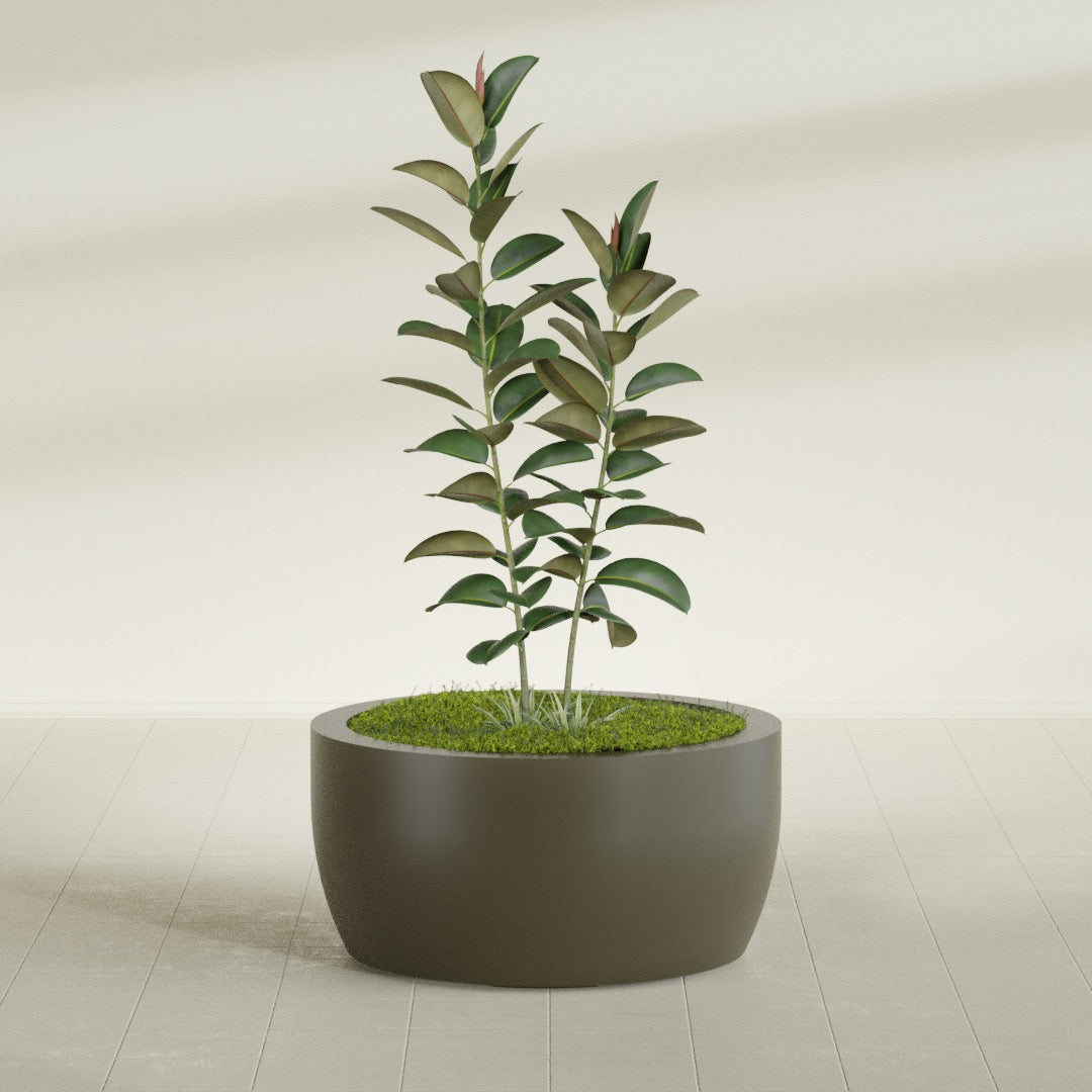 Casablanca Large Round Low Bowl Fiberglass Planter - 36 in x 36 in x 18 in - Matte Bronze - Matte Bronze,36 in x 36 in x 18 in
