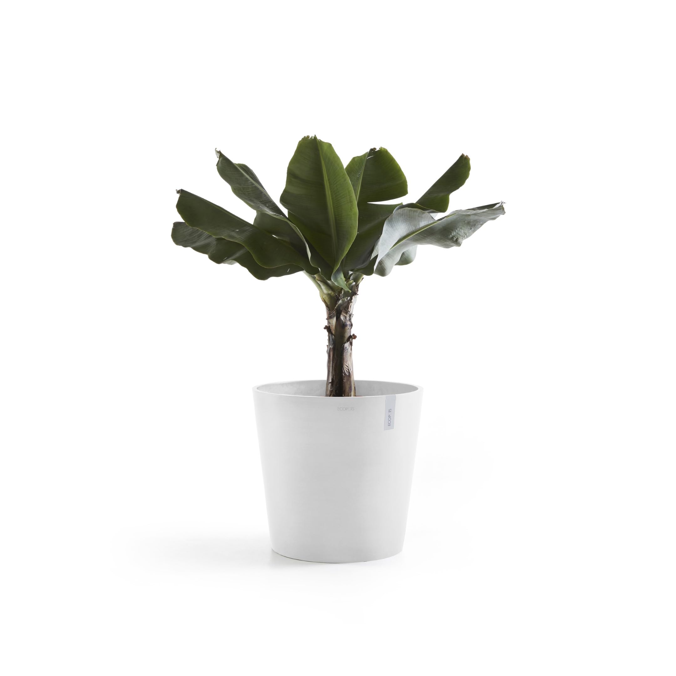 Amsterdam Medium Round Planter - 23.5 in x 23.5 in x 21.5 in - Pure White - Pure White,23.5 in x 23.5 in x 21.5 in,Planter Only