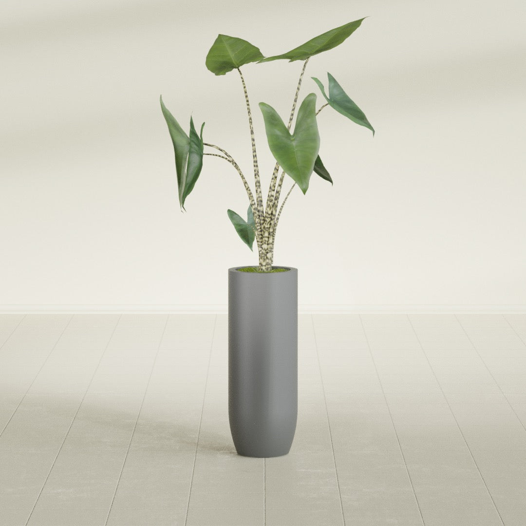 Saint Tropez Large Tall Round Fiberglass Planter - 12 in x 12 in x 32 in - Metallic Gunmetal - Metallic Gunmetal,12 in x 12 in x 32 in