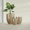 Valencia Medium Round Fiberglass Planter - 20 in x 20 in x 23 in - Metallic Gold - Metallic Gold,20 in x 20 in x 23 in