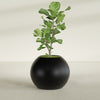 Globe Large Sphere Fiberglass Planter - 30 in x 30 in x 24 in - Matte Black - Matte Black,30 in x 30 in x 24 in
