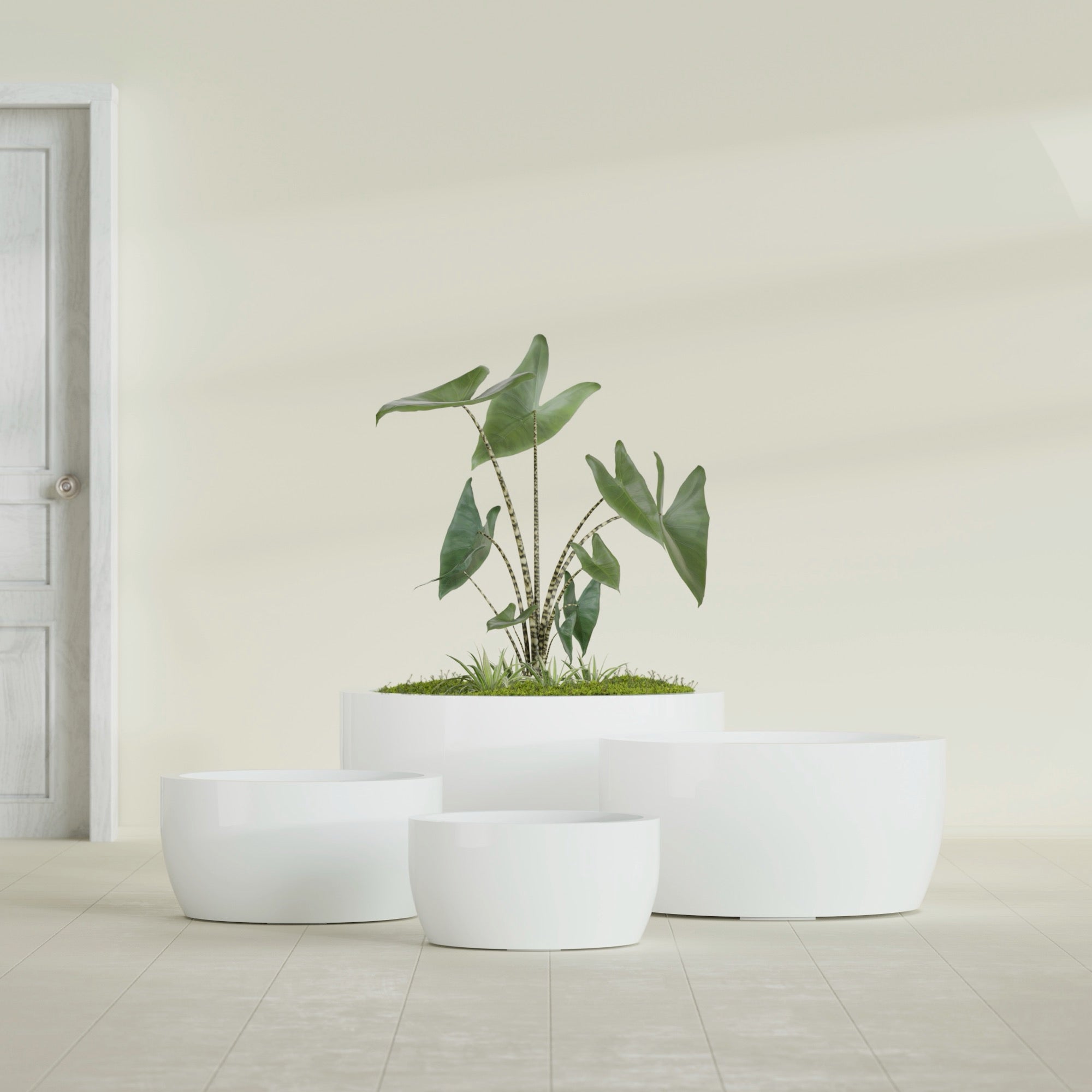 Casablanca Medium Round Low Bowl Fiberglass Planter - 24 in x 24 in x 12 in - Gloss White - Gloss White,24 in x 24 in x 12 in