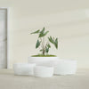 Casablanca Large Round Low Bowl Fiberglass Planter - 30 in x 30 in x 15 in - Gloss White - Gloss White,30 in x 30 in x 15 in