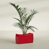 Seoul Large Curved Abstract Fiberglass Planter - 32 in x 12 in x 18 in - Gloss Red - Gloss Red,32 in x 12 in x 18 in